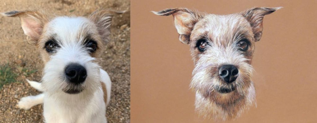 Pet Portraits from Photos