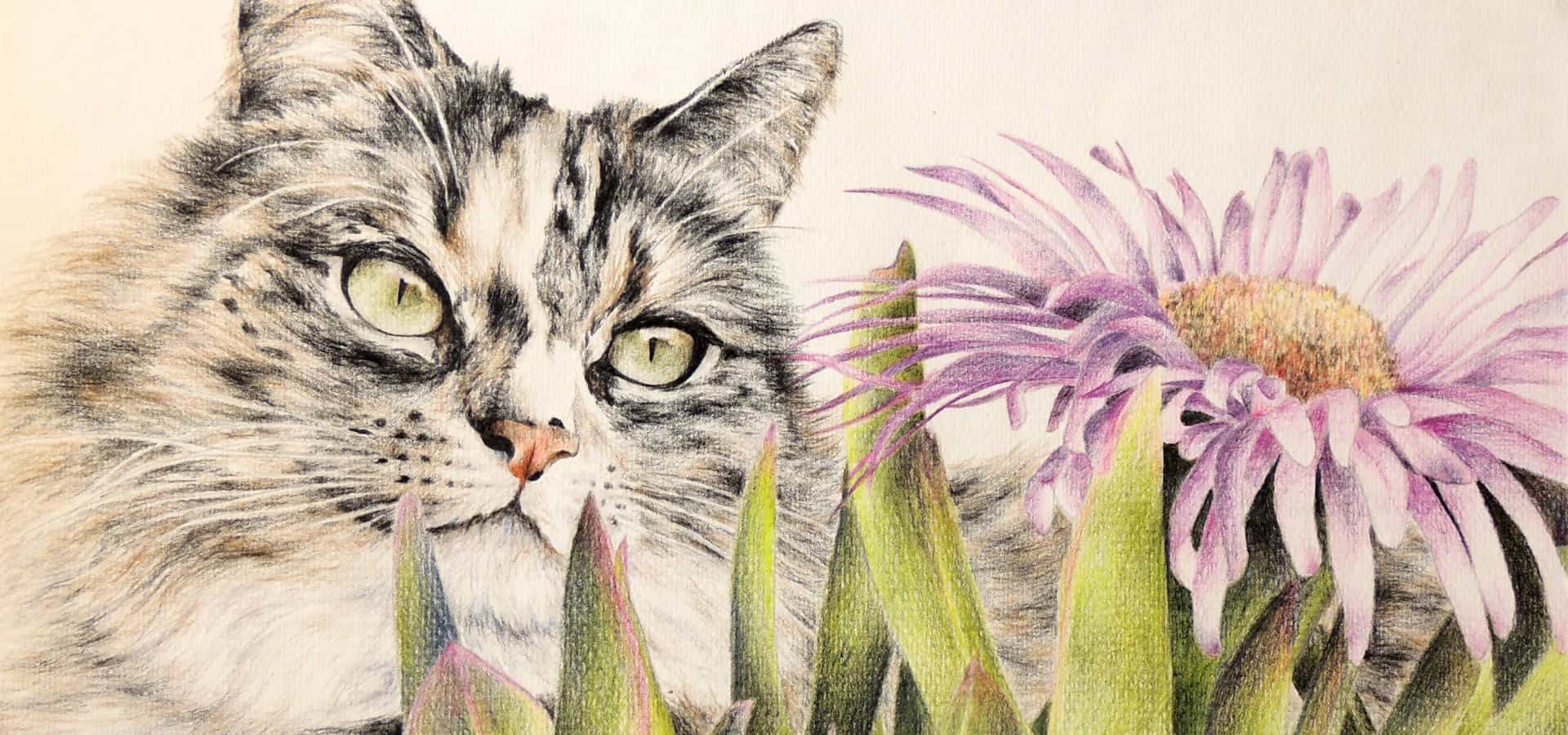 Pastel Pet Portraits