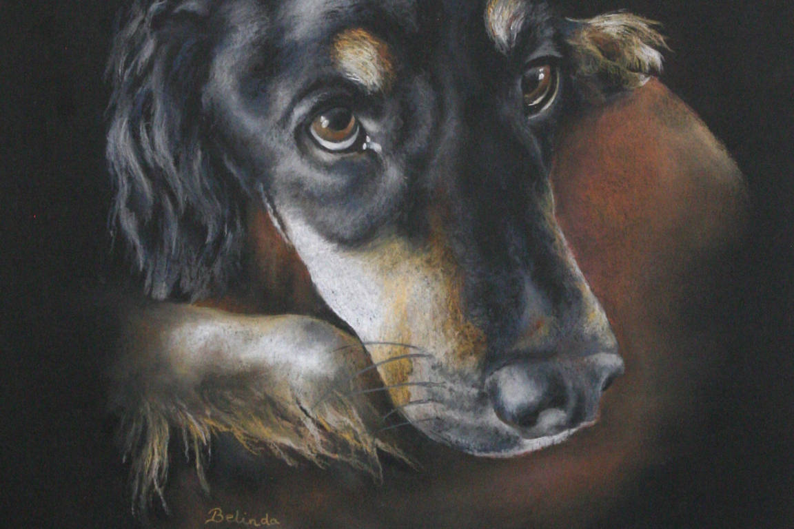 Black Labrador Artwork