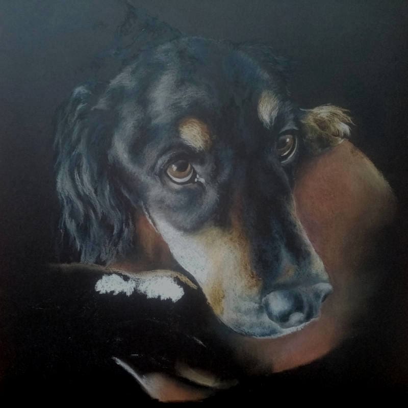 Black Labrador Portrait Progress