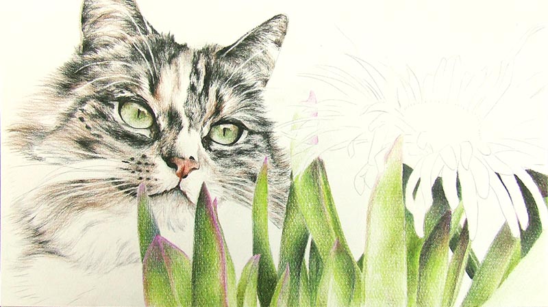 Cat Portrait and Foliage