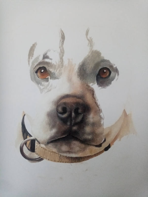 Dog Portrait Artwork