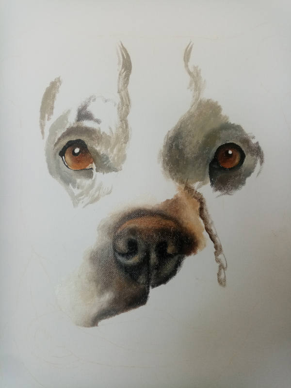Dog Portrait Eyes