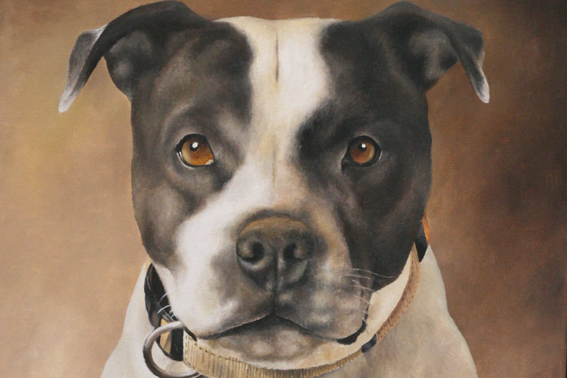 Dog Portrait Oil Painting